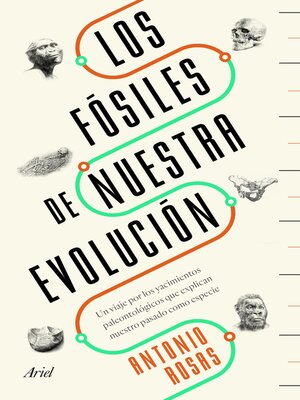 cover image of Los fósiles de nuestra evolución